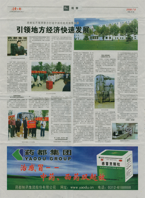 引领地方经济快速发展《消费日报》