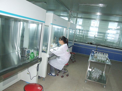 脱毒组培种苗繁殖