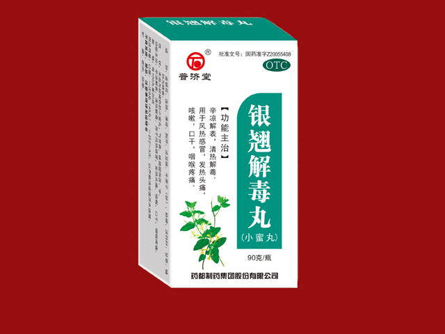  银翘解毒丸(小蜜丸)