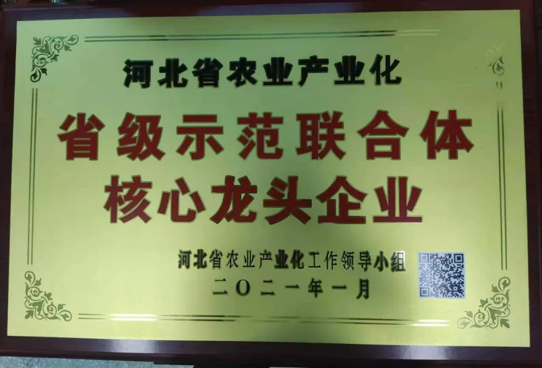 省级示范联合体核心龙头企业