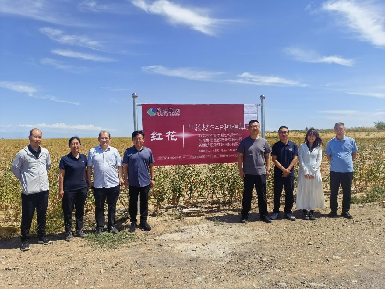 开元官方网页版茗都药业红花GAP基地顺利通过河北省药监局延伸检查