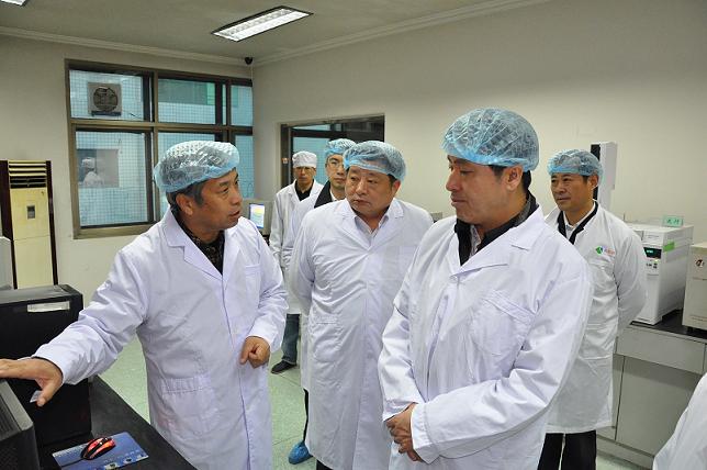 河北省政府副省长张杰辉来开元官方网页版视察指导工作