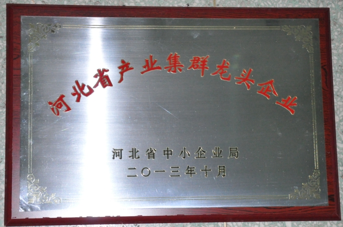 开元官方网页版被评为“河北省产业集群龙头企业”