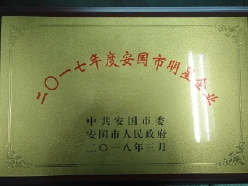 我公司被安国市委、市政府评为二〇一七年度明星企业