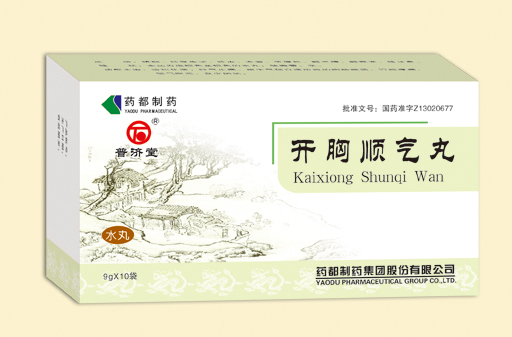 开胸顺气丸（水丸9g*10）
