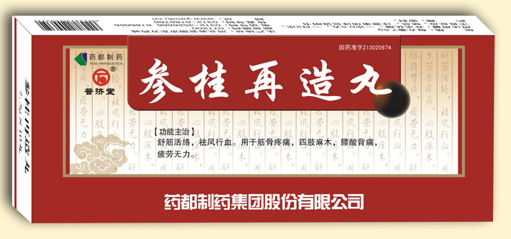 参桂再造丸（大蜜丸）