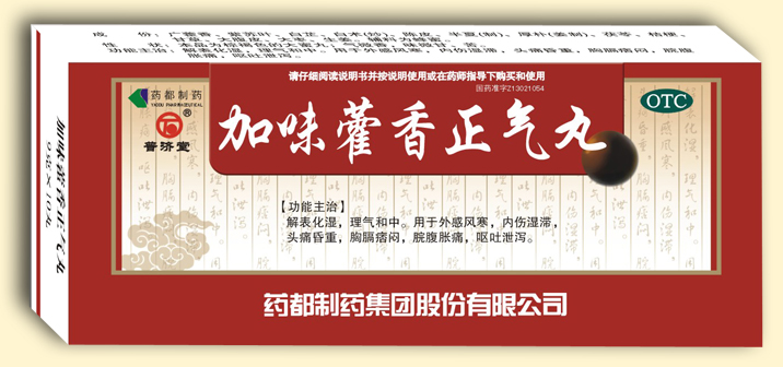 加味藿香正气丸（大蜜丸）