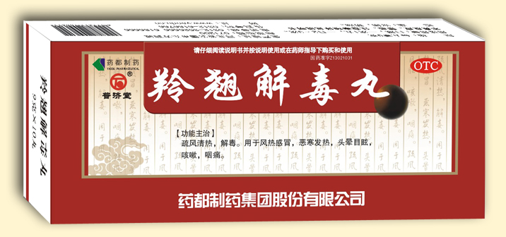 羚翘解毒丸（大蜜丸）