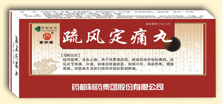  疏风定痛丸（大蜜丸）