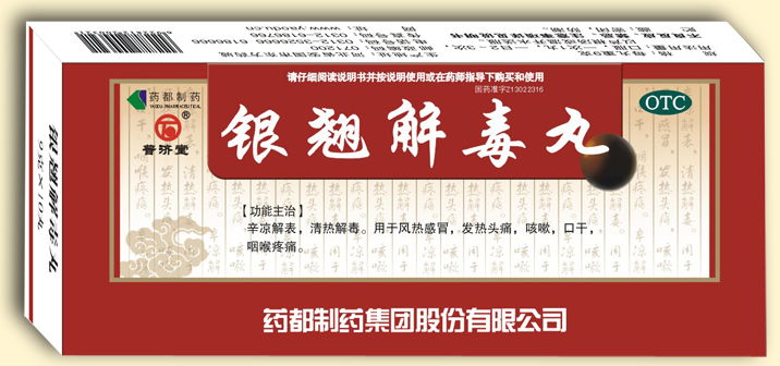 银翘解毒丸（大蜜丸）