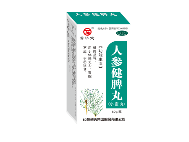 人参健脾丸小蜜丸.png 人参健脾丸小蜜丸.png