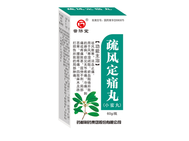 疏风定痛丸小蜜丸60g.png 疏风定痛丸小蜜丸60g.png