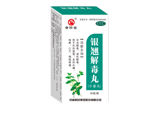 银翘解毒丸小蜜丸.png 银翘解毒丸小蜜丸.png