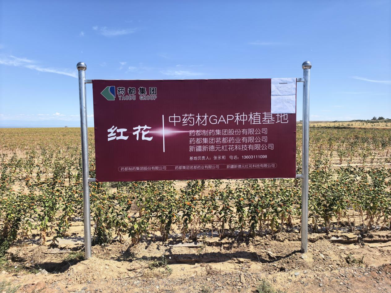 图片8.png