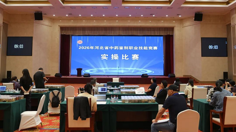 图片33.png